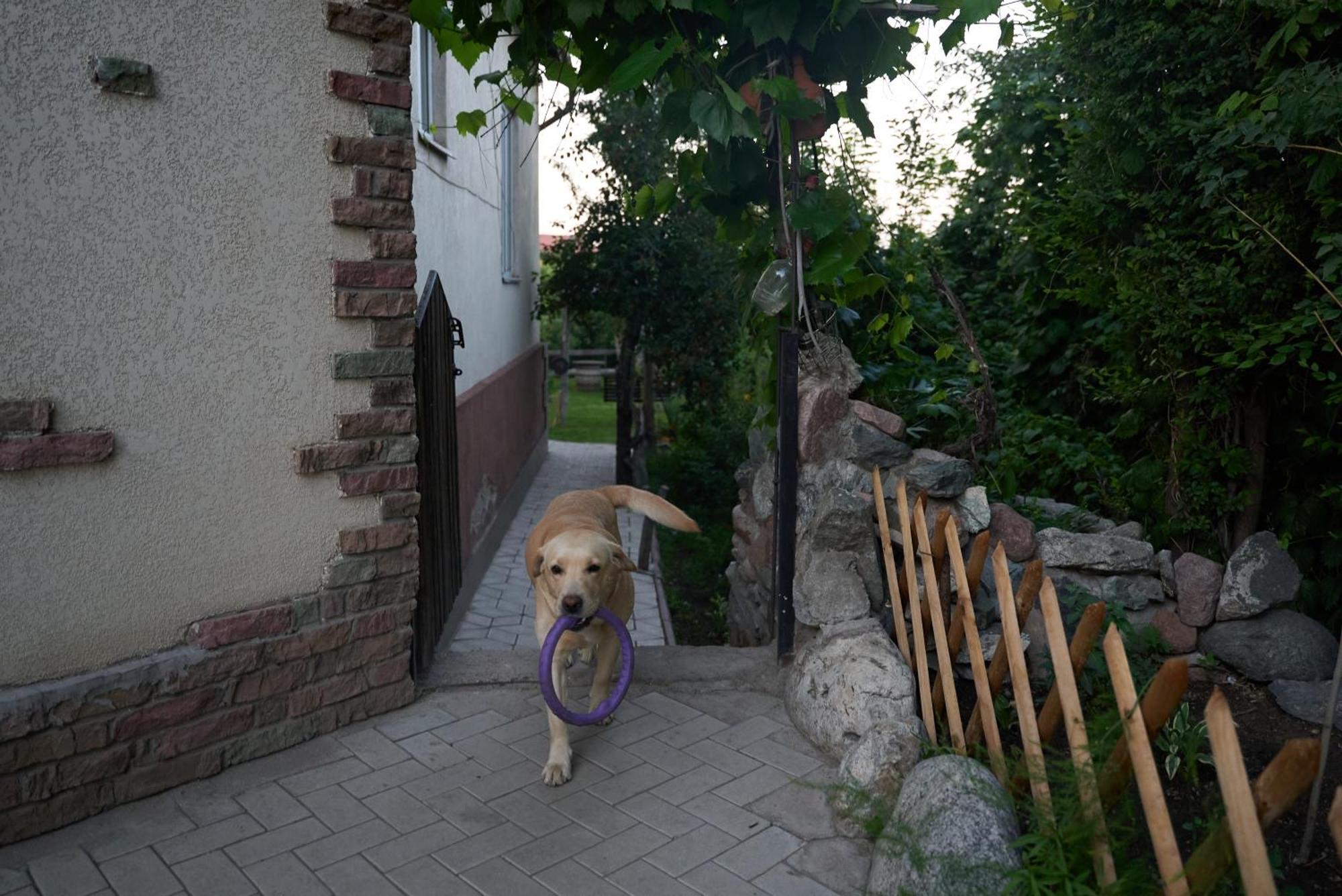 Argo Guest House Karakol Exterior photo