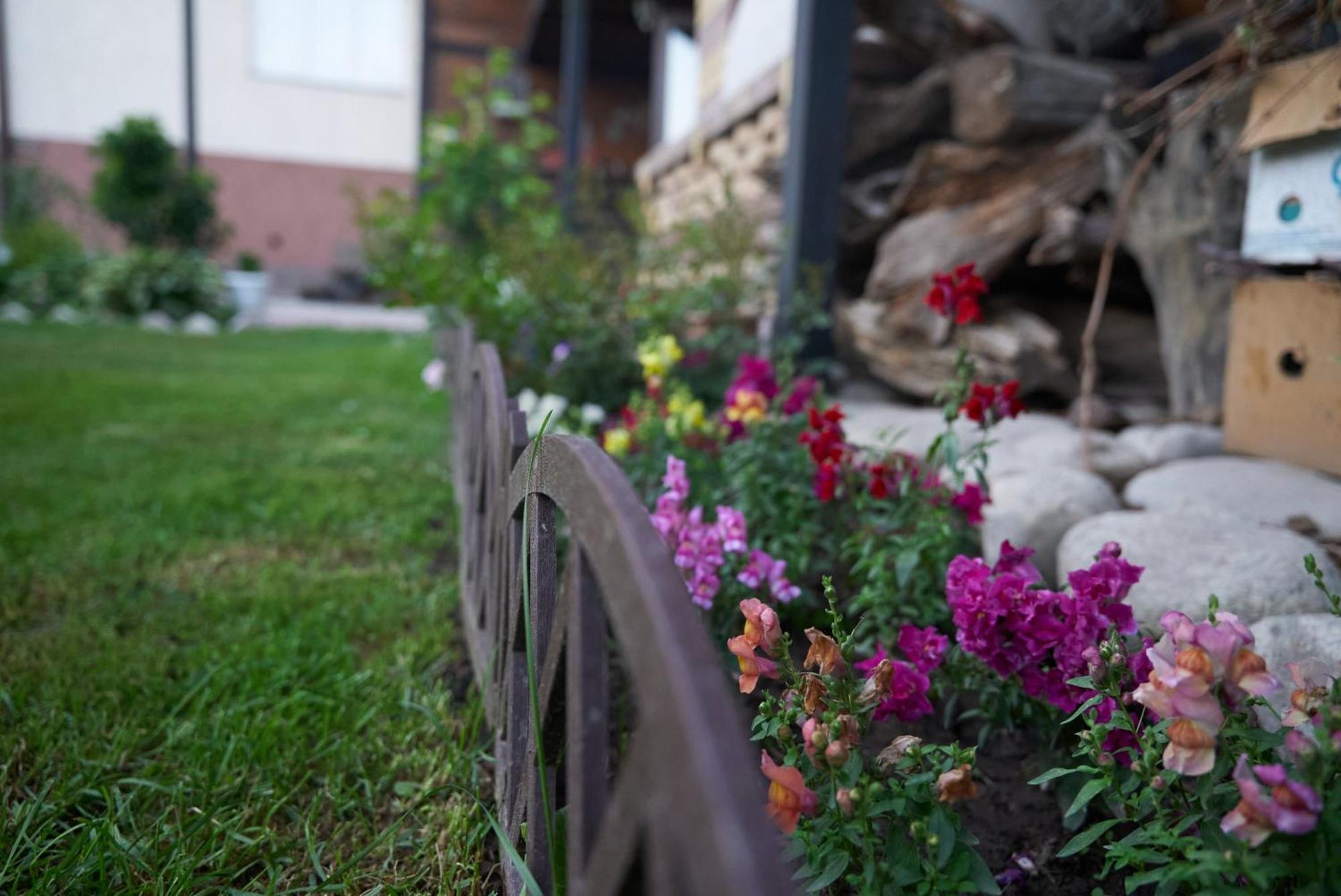 Argo Guest House Karakol Exterior photo